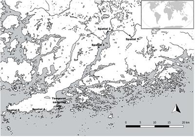 Stable Seasonal and Annual Alpha Diversity of Benthic Diatom Communities Despite Changing Community Composition